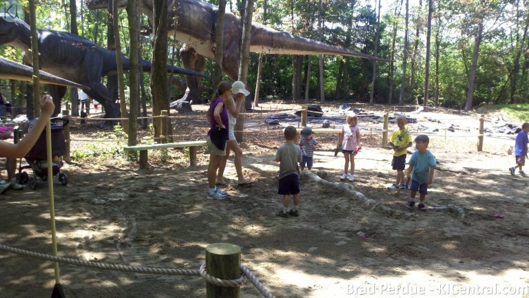 2011-06-17_15-03-18_410