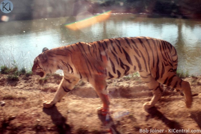 075 TIGER