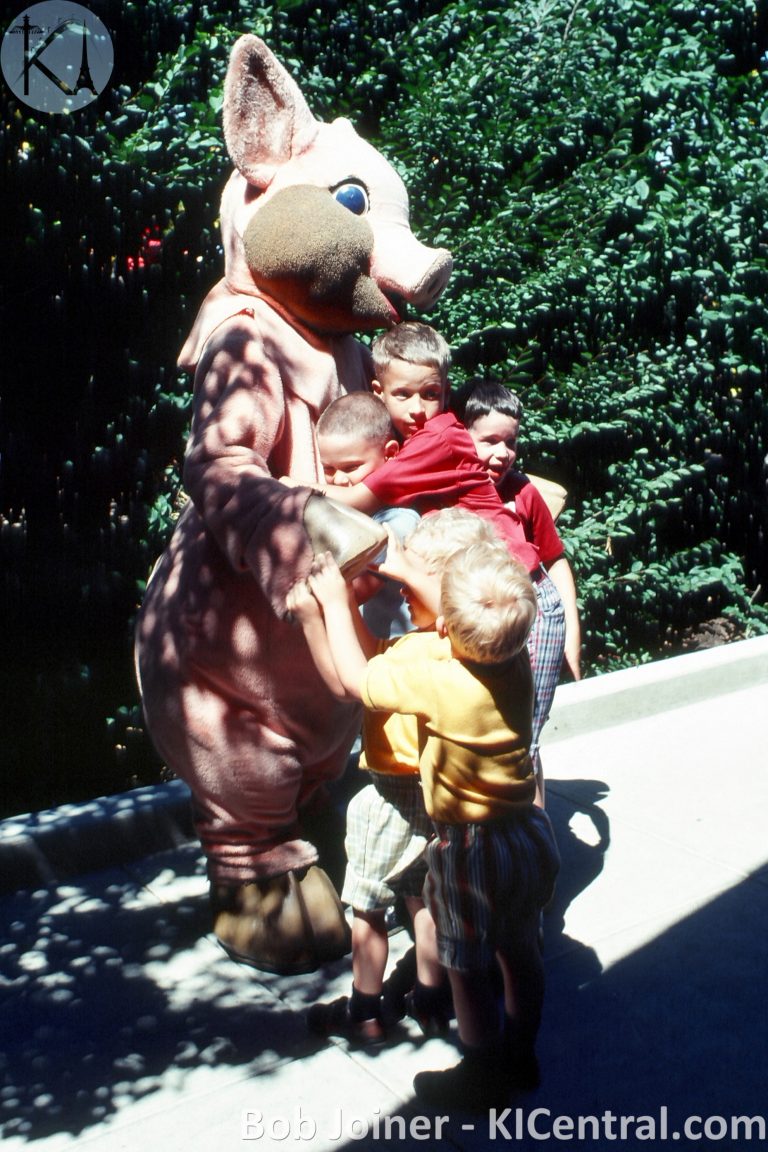 Hanna-Barbera Land — photo 94 of 119