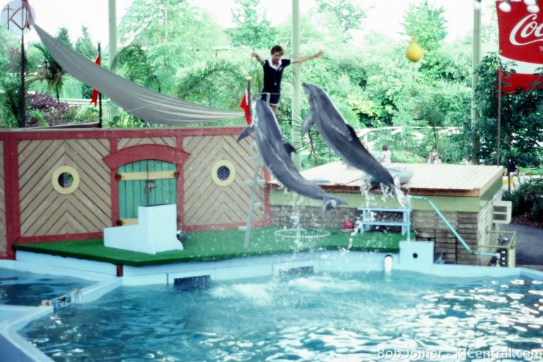 204 PORPOISE SHOW