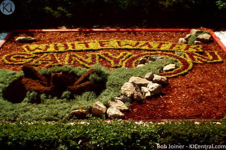 248 FLOWER SIGN