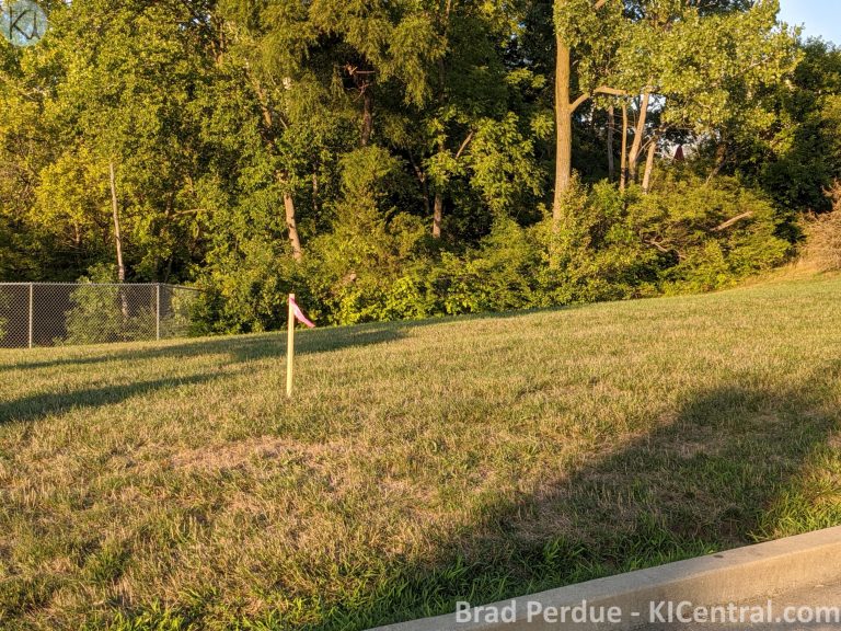 IMG_20200808_194157