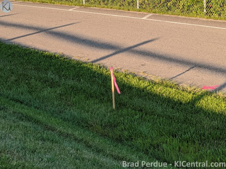 IMG_20200808_194415
