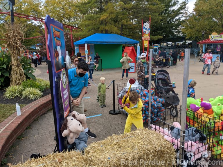 PXL_20201003_190847788