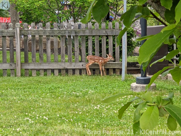 PXL_20210522_153250917