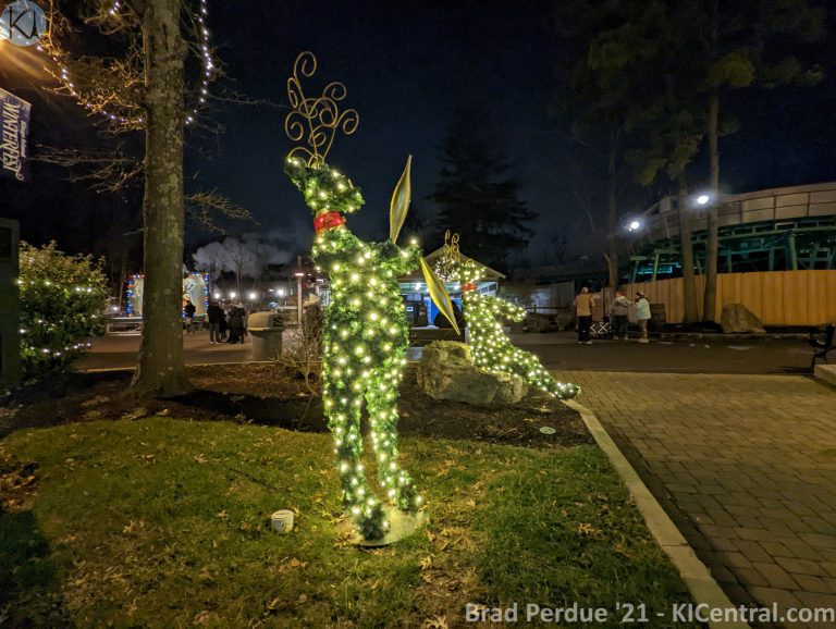 PXL_20211127_000214707