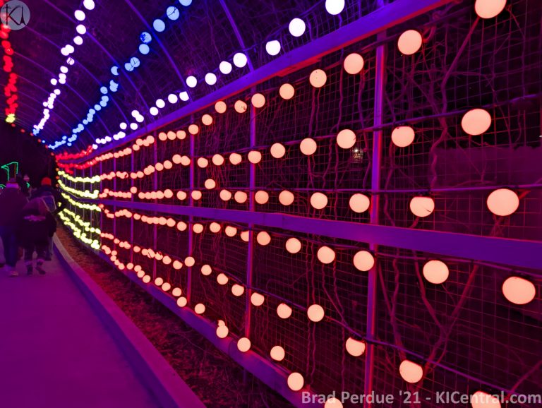 PXL_20211127_004951668