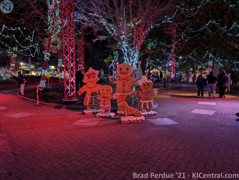 PXL_20211127_021108833