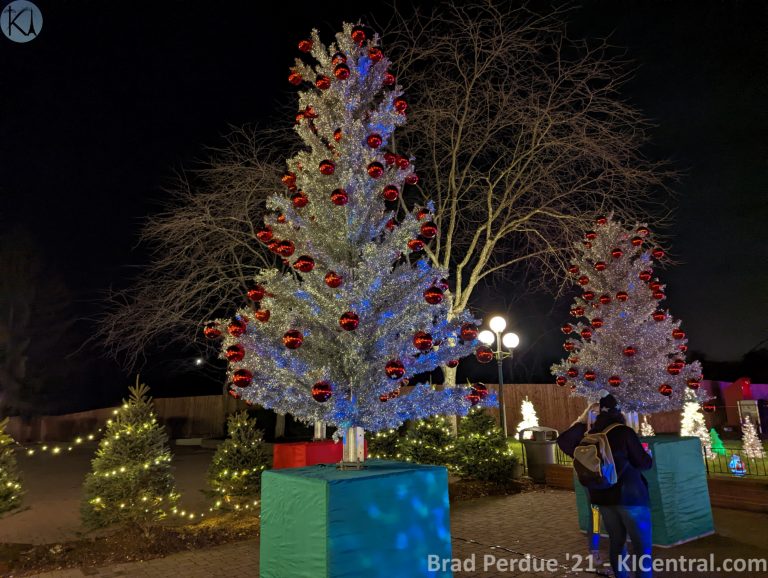 PXL_20211127_022904125