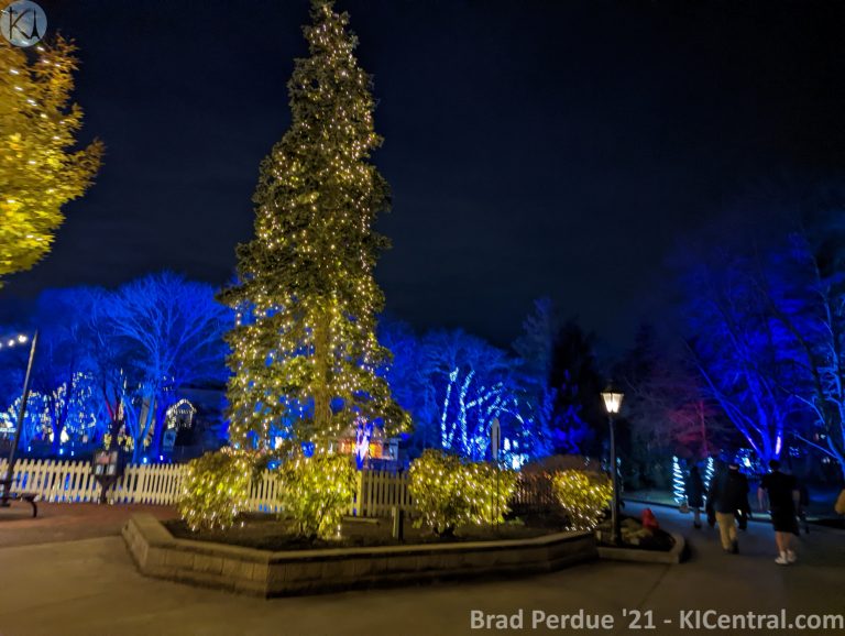 PXL_20211127_024148305