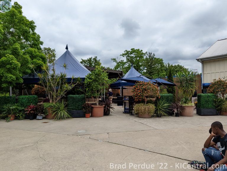 PXL_20220528_185139589