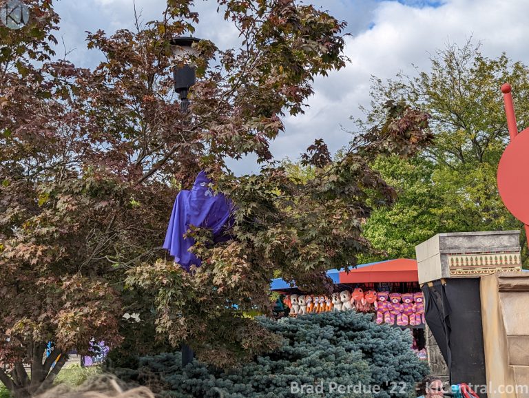 PXL_20220925_201904288.MP