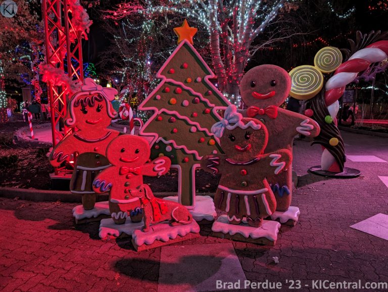 PXL_20231125_010621657.MP