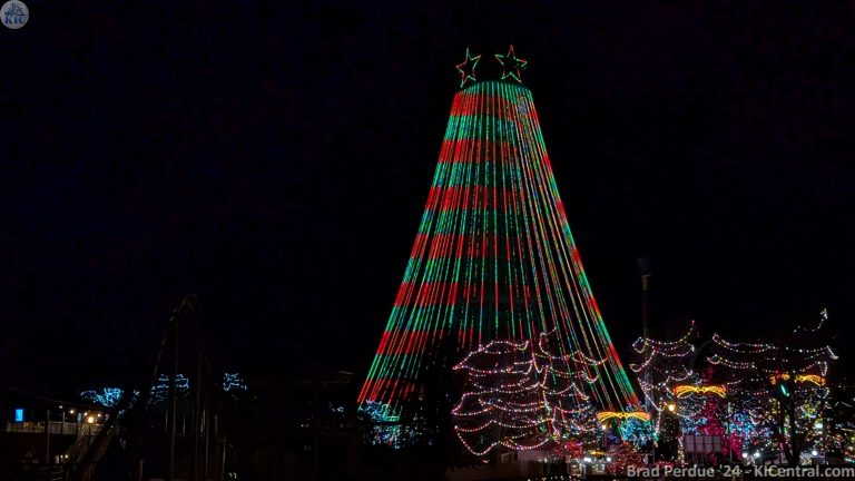 PXL_20241208_004850387